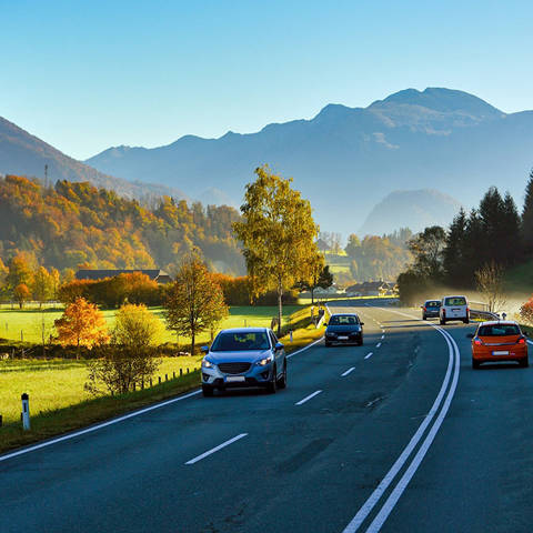 Revitup Who Goes Where