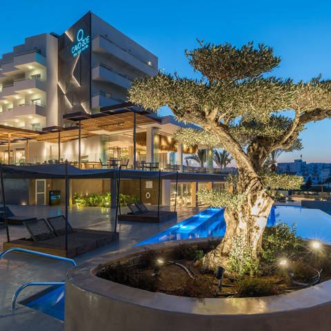 Revitup Direct Cavo Zoe Project