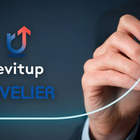 Revenue Management Revitup Revelier