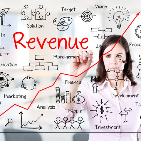 Revitup Outsourcing Revenue Management