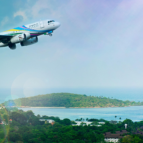 Revitup Travel Trends