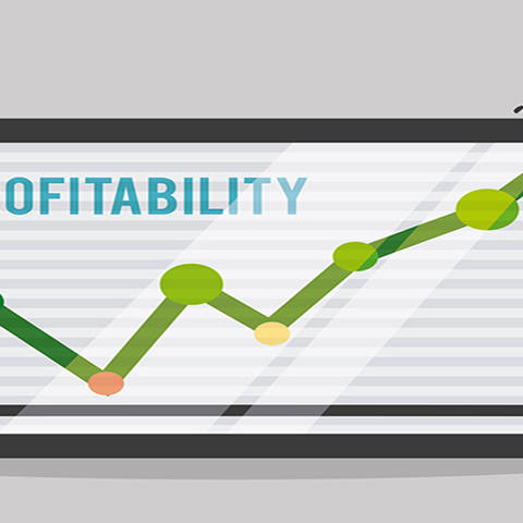 Profitability Increase