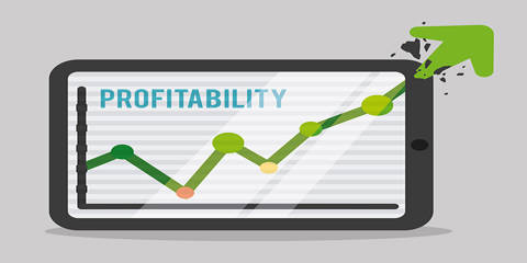 Profitability Increase